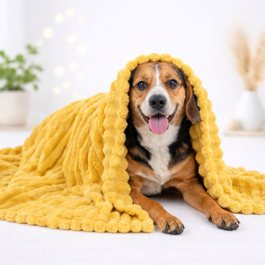 Derbiana™ - Couverture de soutien émotionnel